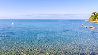 La Pensione Zio Attilio sul mare