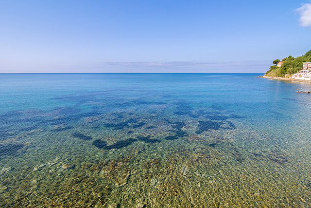 triglia_07_640.jpg